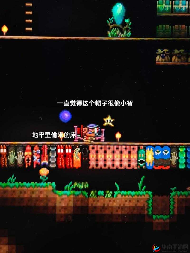 泰拉瑞亚上线时间究竟何时揭晓