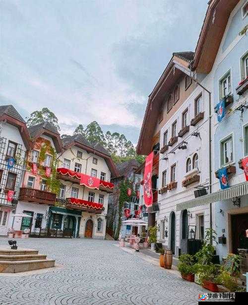 随时随地都能干的小镇叫什么：探寻其独特魅力