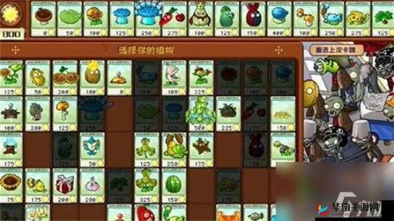 植物大战僵尸 43 关通关秘籍与技巧大揭秘