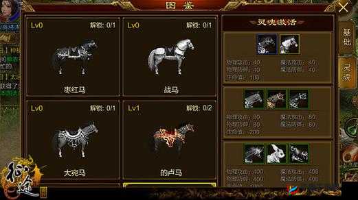 《真国无双8：马匹培养秘籍与普通马匹成长攻略》