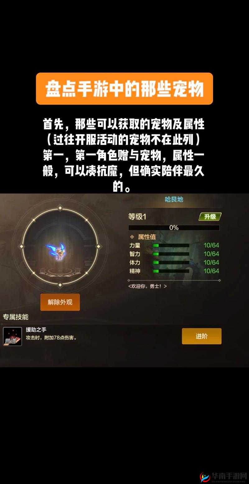 DNF 手游宠物获取全攻略 详细方法与技巧大揭秘助你轻松拥有萌宠