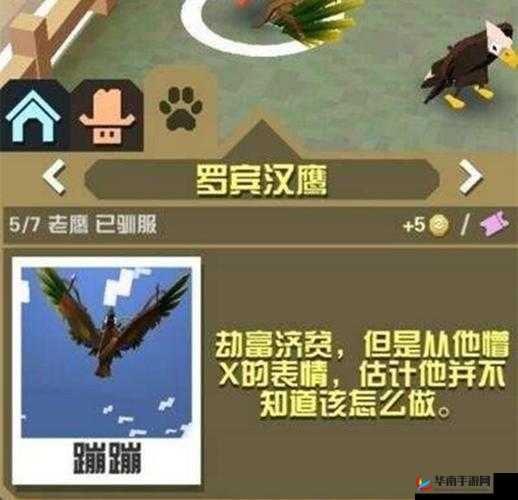 疯狂动物园澳大利亚隐藏动物获取攻略