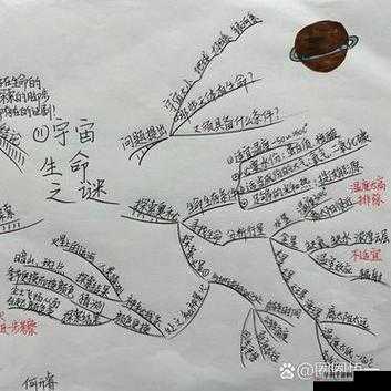 《熟睡之谜：自杀者成就全揭秘》