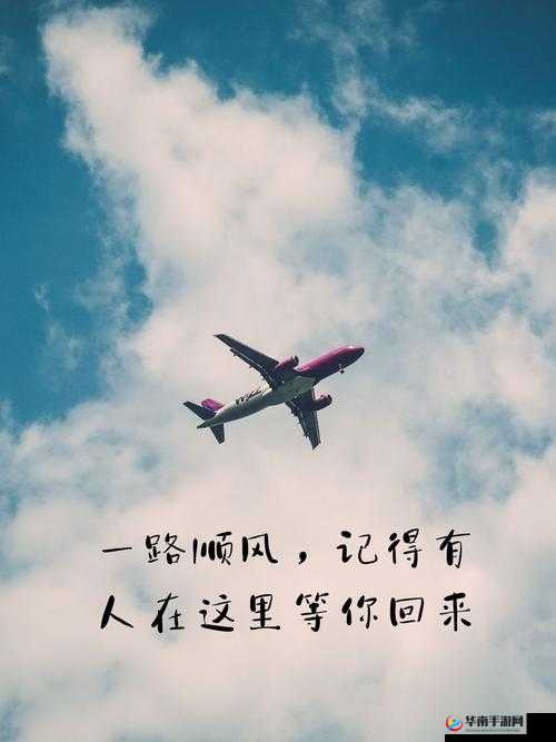 69XX：一段神秘的旅程
