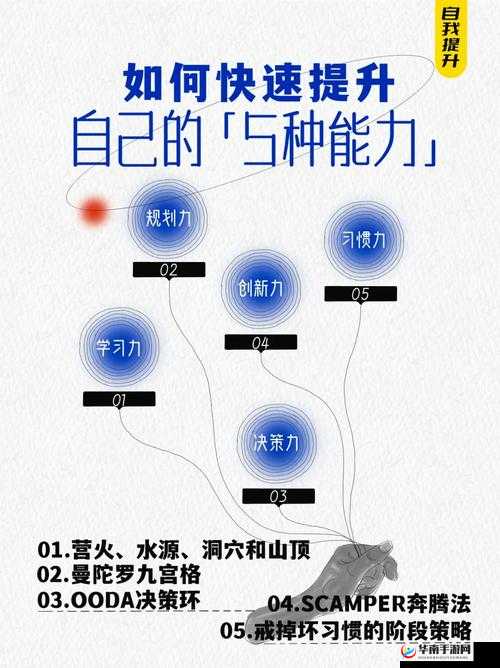 森林如何强化自身力量：提升能力的途径与方法介绍