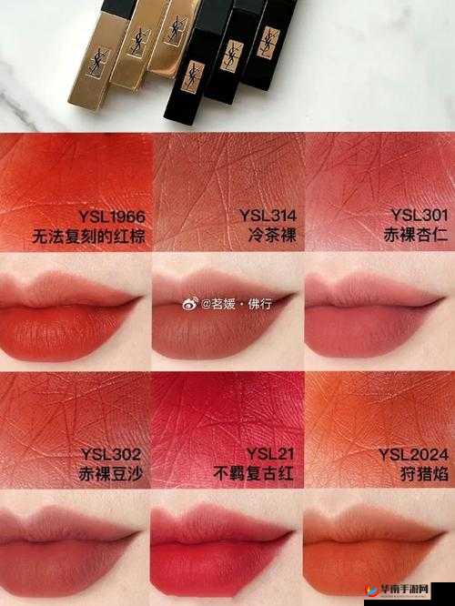 ysl 千人千色 ae68 口红：演绎你的专属色彩