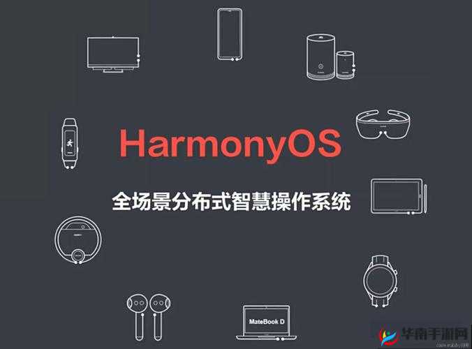 深度开发 1v6TXT 下载：探索更多可能性