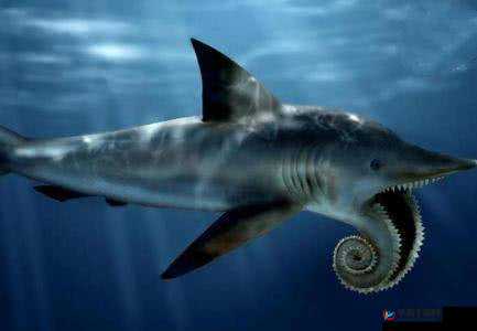 动物森友会鲨鱼钓鱼攻略:钓鲨技巧大解密,钓鱼达人必学秘籍