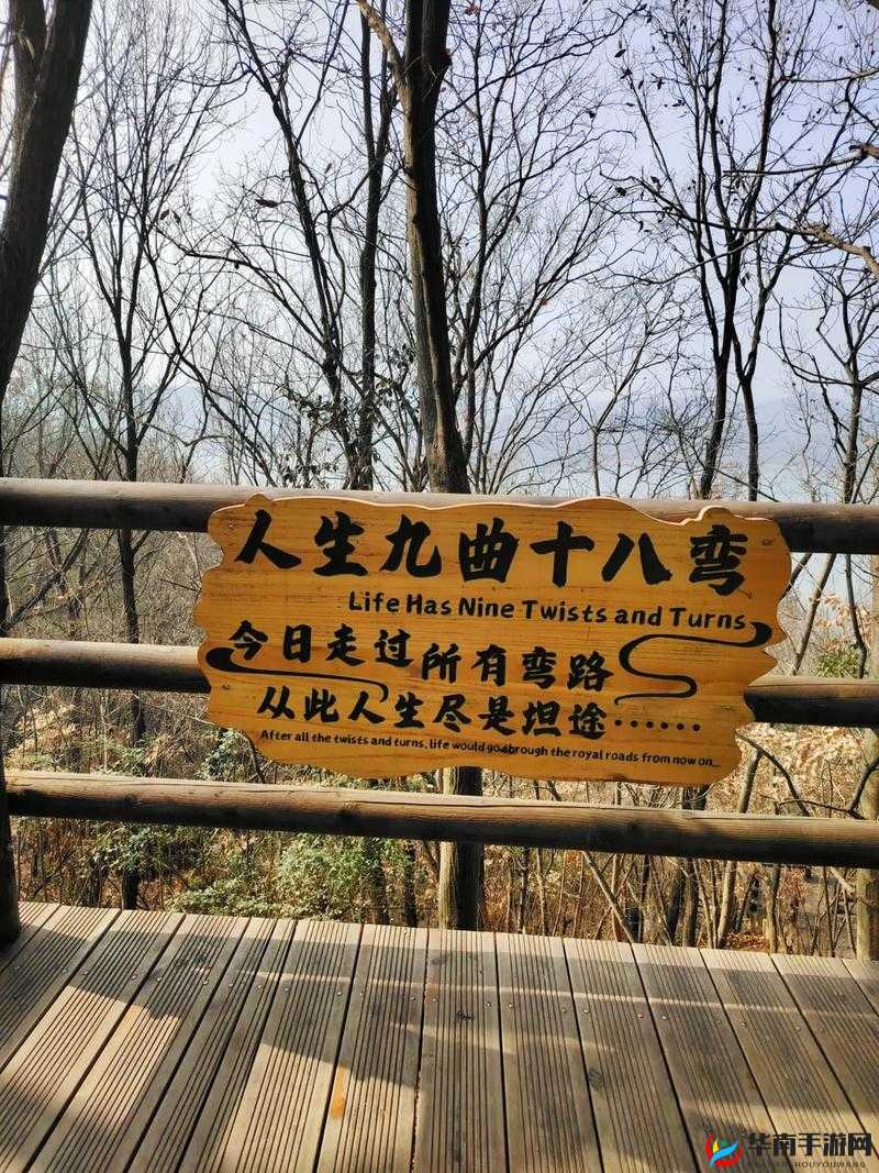 桂花婶的宝贝可是9曲18弯 巧夺天工的奇妙之旅