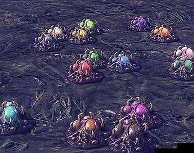 星际争霸 II 虫族：菌毯的秘密