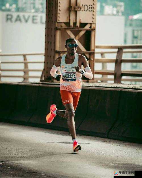 ZOOM 与 OKZOOM：开启全新连接