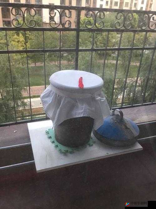 压在墙上酱酱酿酿的叫什么：探究背后真相