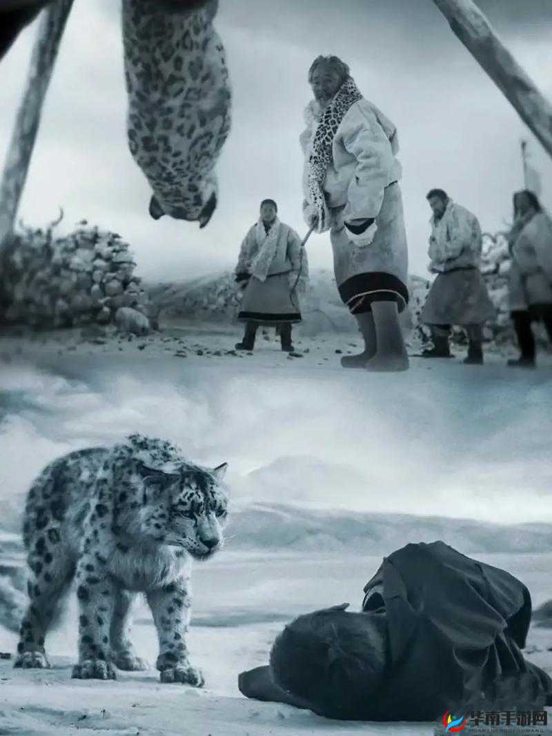 《河洛群侠传：雪影之谜——雪豹与雪豹王探秘之旅》