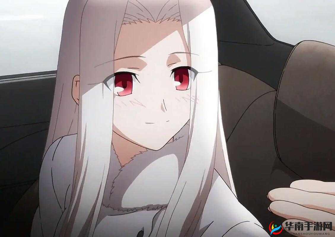 命运冠位指定FGO,太太爱丽斯菲尔,复活系奶妈的温柔守护