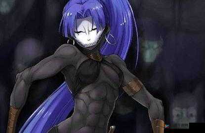 命运冠位指定FGO百貌的哈桑技能宝具实用性测评