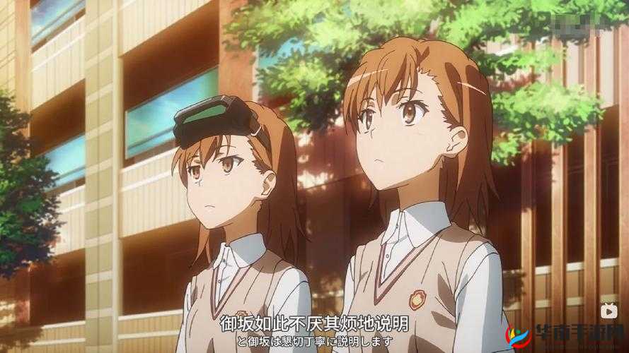 魔法禁书目录御坂妹妹，性格特点的深度剖析