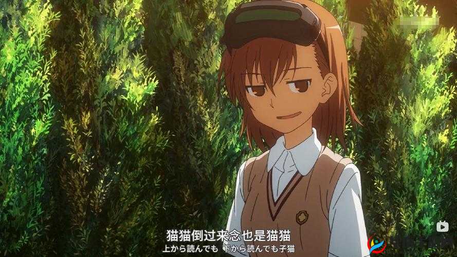 魔法禁书目录御坂妹妹，御坂妹妹基础介绍在资源管理中的重要性及高效利用策略