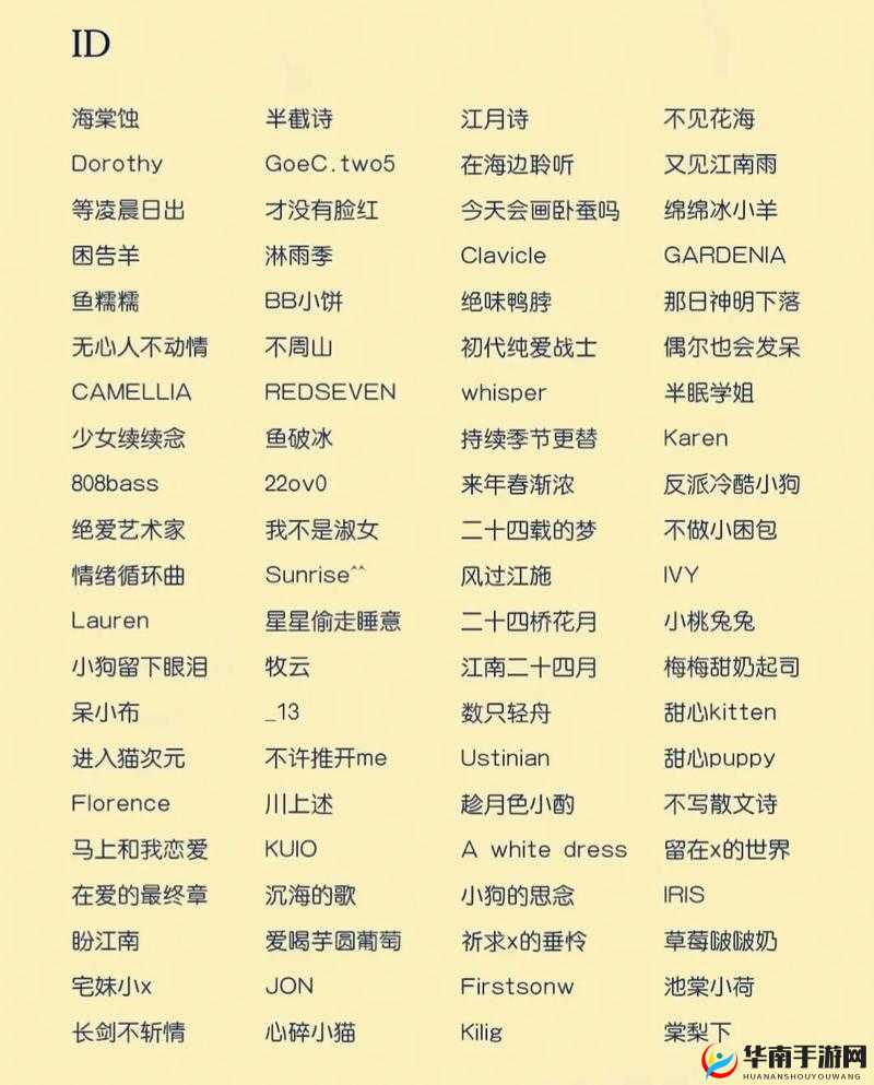 猫咪最新地域网名是什么啥之探究