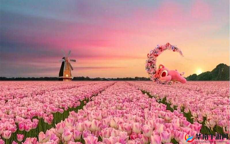 粉色视频免费高清观看 3- 受欢迎程度非常高