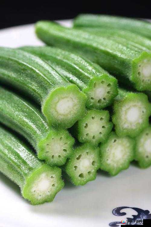 番茄黄瓜丝瓜草莓秋葵:舌尖上的美味盛宴