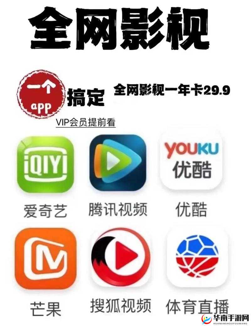能看所有 vip 影视的软件 app：畅享海量精彩影视资源