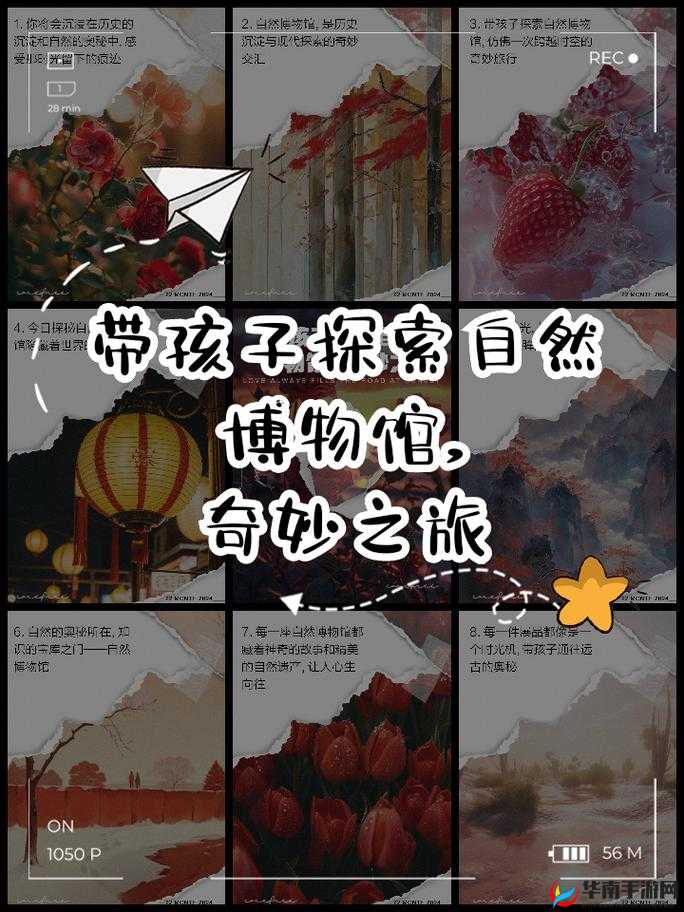 深度交流会 Banggi 哇答 4:探索思想碰撞的奇妙之旅