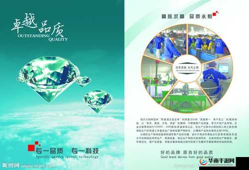 成色好的 Y31 标准：探索其卓越品质与独特优势