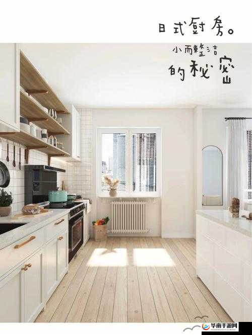 厨房一次又一次的索要摄入:探寻背后的深层原因与影响