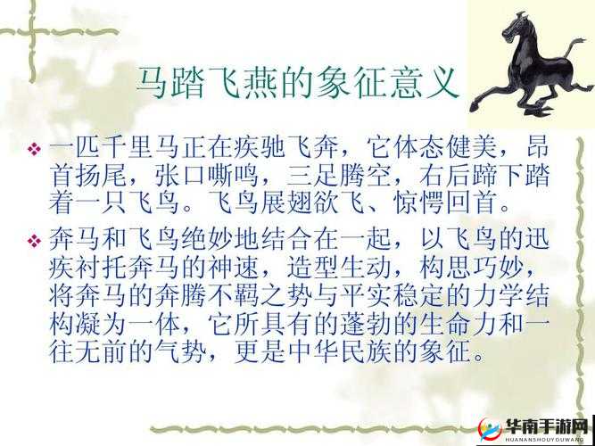 奔马不踏飞燕改行捣辣:一场独特的转变与探索之旅