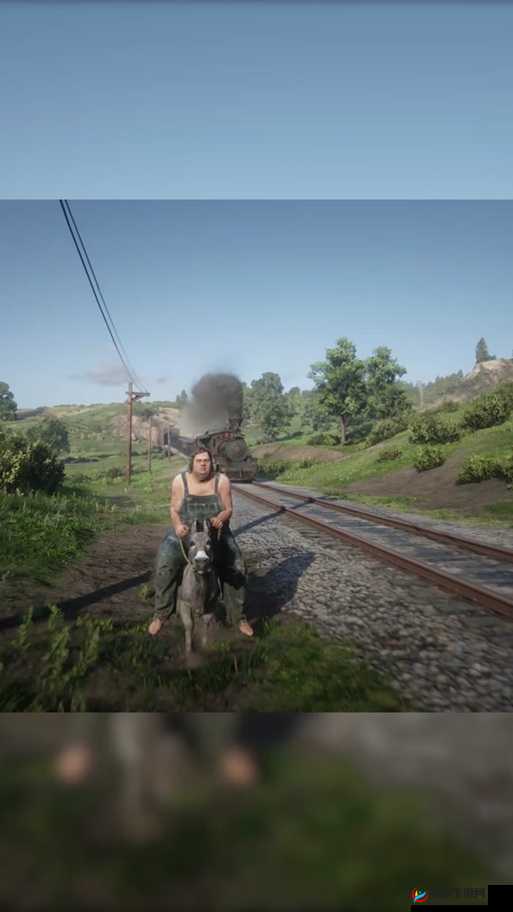 暴躁大妈荒野大镖客 K9 真人秀：一场充满刺激与惊喜的冒险之旅