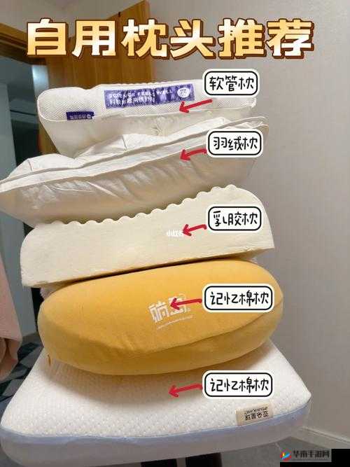 自 W 到高 C 的教程夹枕头:实用技巧与心得分享全解析