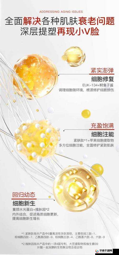 FREEZEFRAME 丰满老妇护肤秘籍：探寻肌肤青春的秘密通道