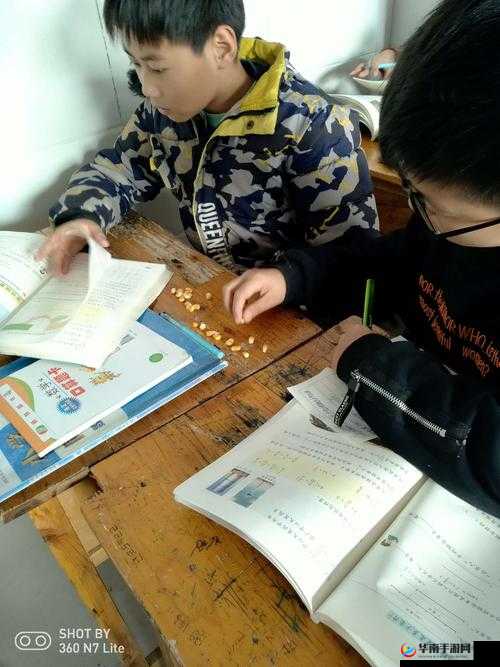 丫头牦户一张一合的动作表达了什么：深入探究其背后含义