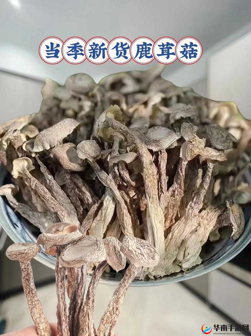 99 国内自产精华：探索本土优质产品的独特魅力之旅