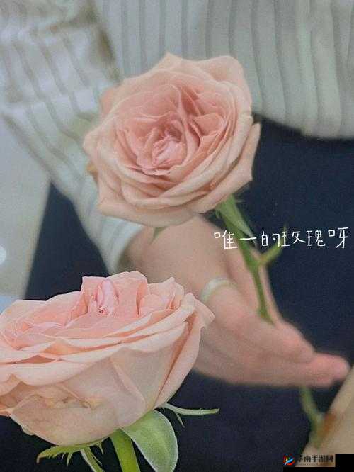 用我的手指来搅乱你的心弦：开启一段浪漫心灵之旅