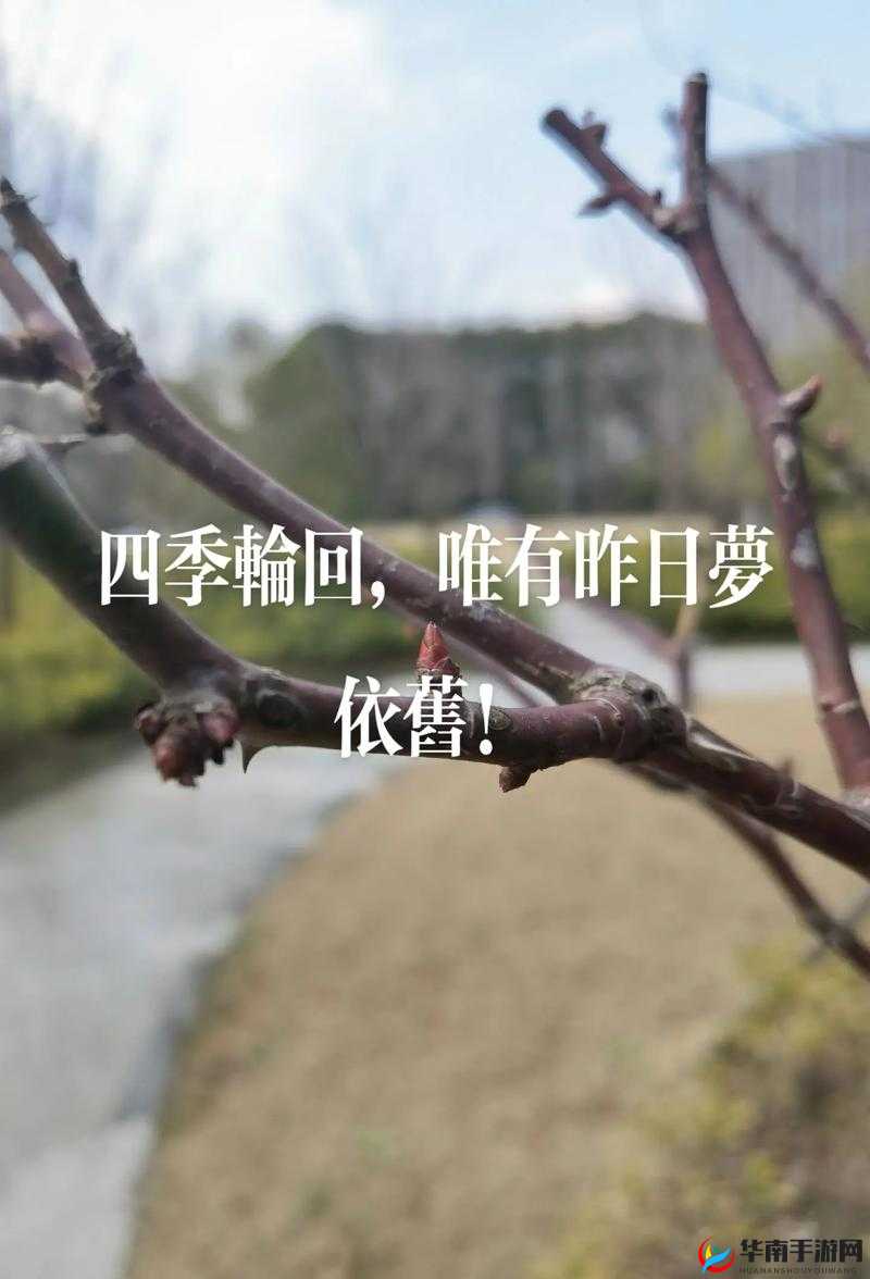 水深火热糙汉 H1VL1 冬至：一段令人震撼的传奇经历