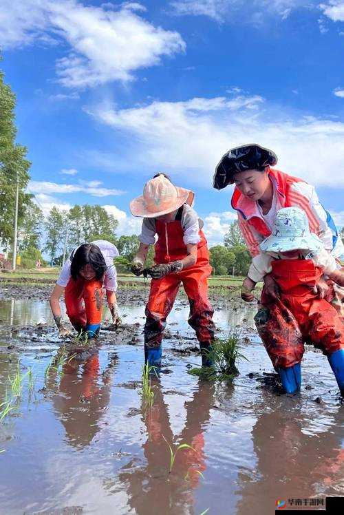 夫妻一百种插秧方法:探究农耕生活中的劳动智慧与情感交流