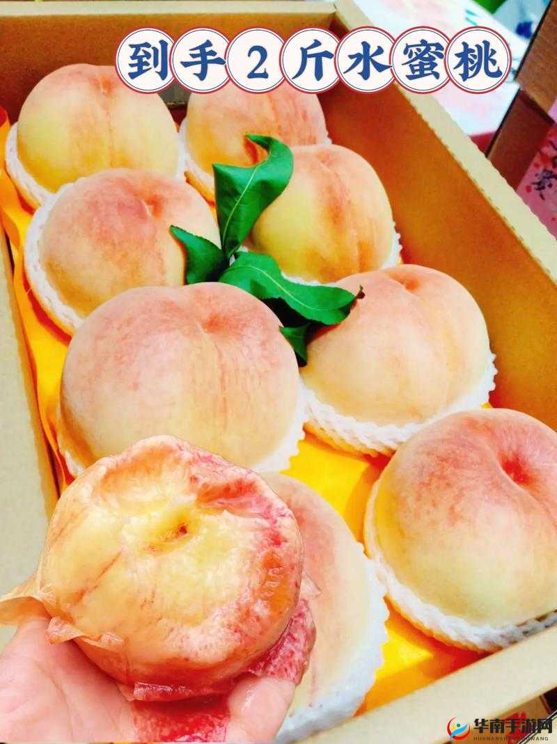 GTCARD2 水蜜桃 :带来清新甜蜜的水果享受