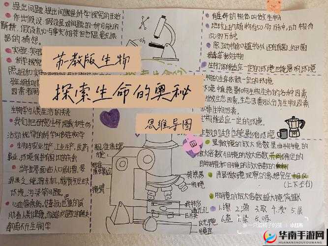 身体内的插曲：探索生命机能奥秘的奇妙乐章