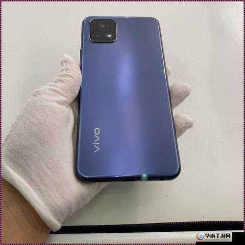 成色好的 Y31 免费：让您无需花费轻松拥有的优质选择