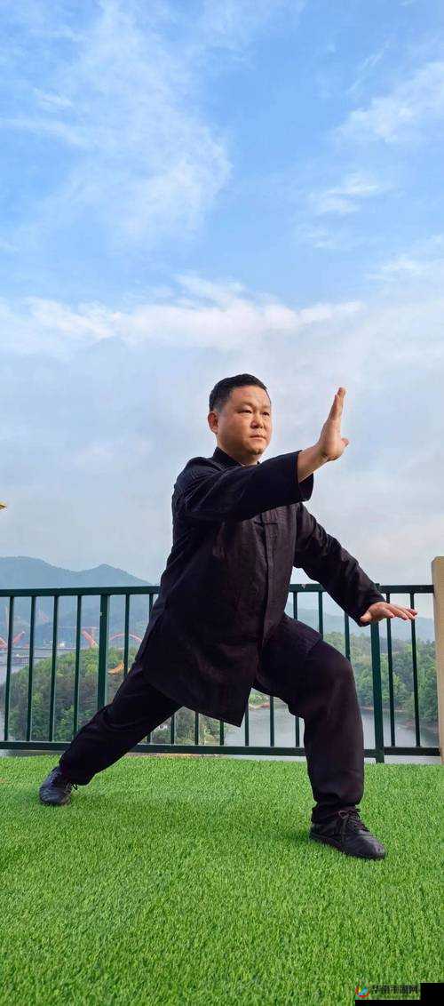 剑影太极，三少爷的黑白沉沦之旅