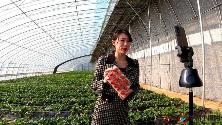 草莓直播免费观看视频：带你领略精彩的直播世界