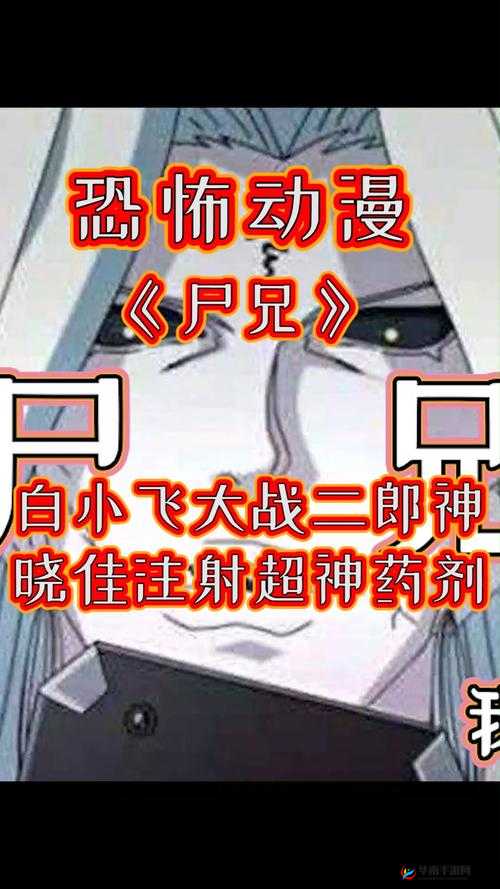 白小飞大冒险晓佳猎人技能详细介绍