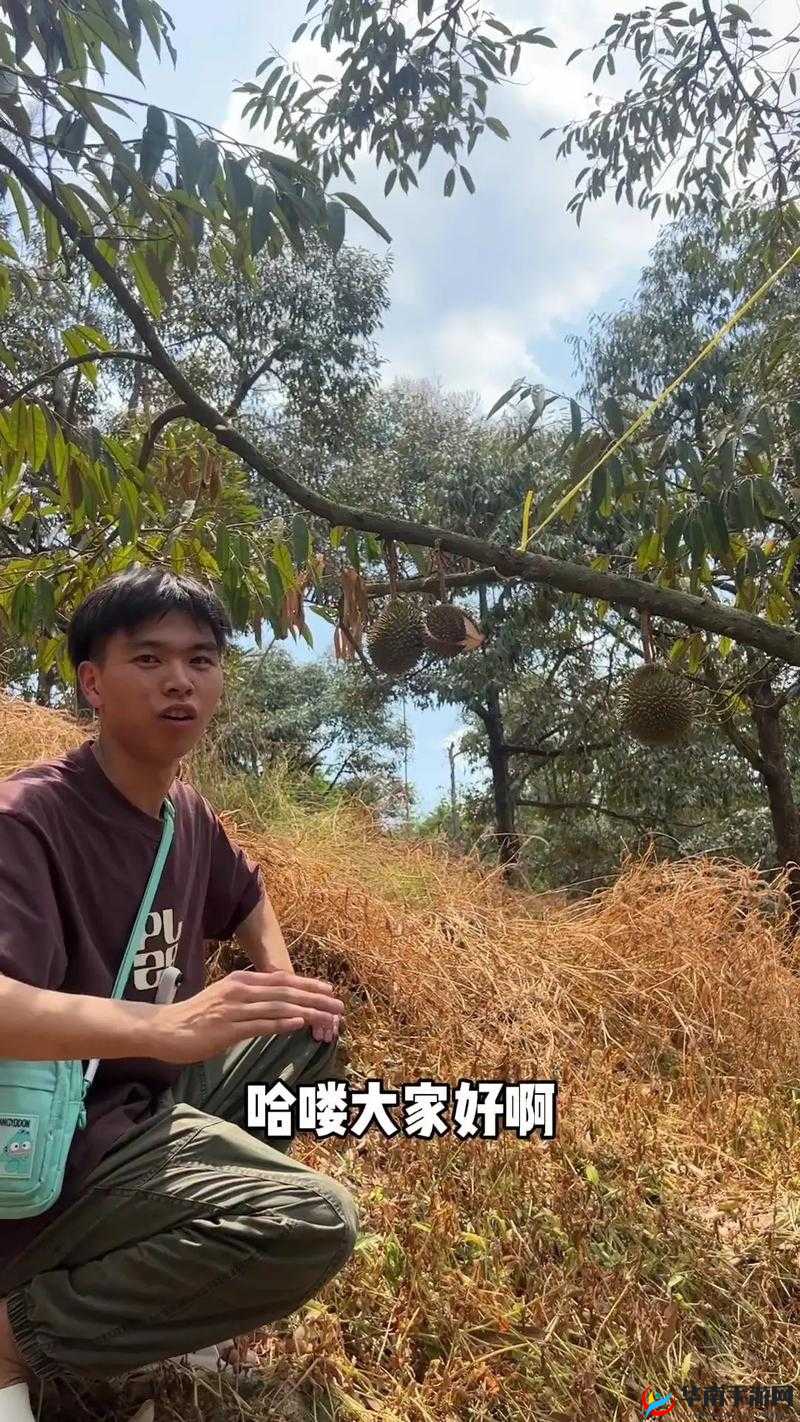 榴莲视频在线观看视频 1080P ：尽享高清画质带来的绝佳体验