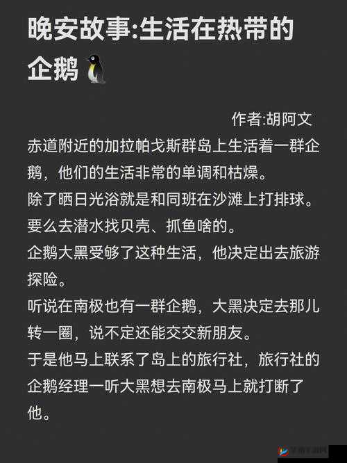 女的被 C 软件：关于其背后故事及影响的深入探讨