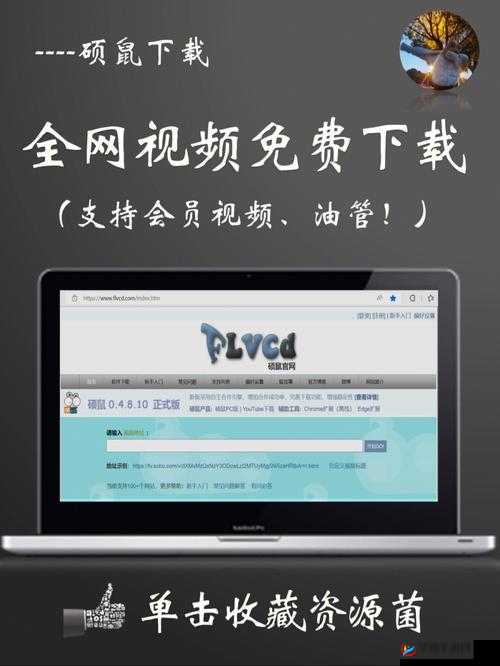 天噜啦直播 app 官方版本更新内容：功能优化与体验提升