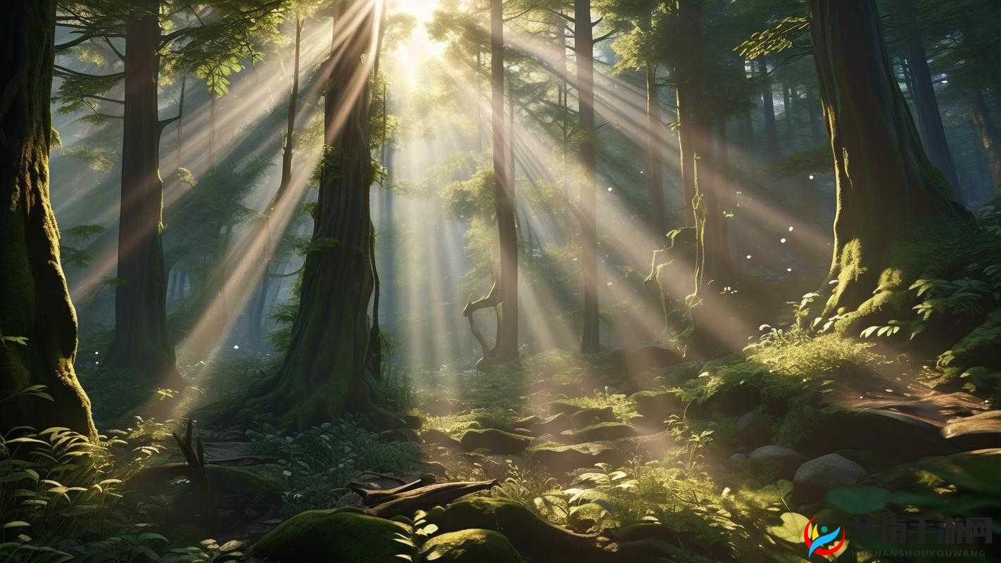 挑战与成长,在精灵世界的冒险之旅