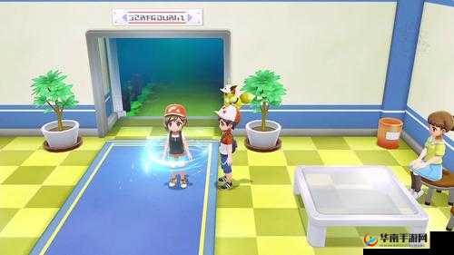 尼比市挑战,揭秘小刚馆长的战斗策略