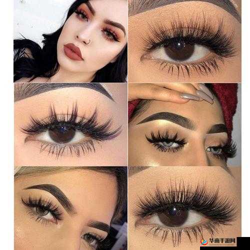 欧美浓毛的独特魅力与风情展现