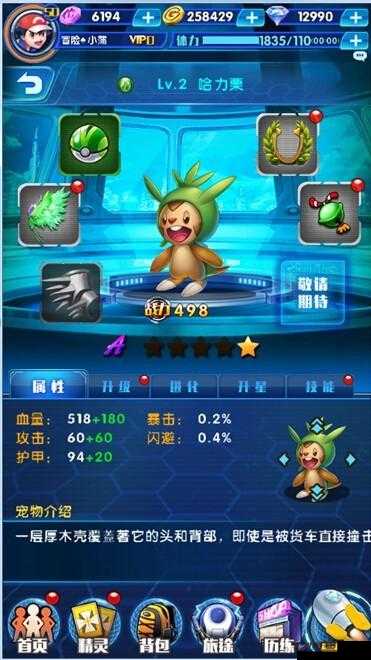 宠物小精灵战力提升与洗炼，资源管理的艺术